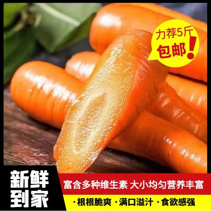 正宗精品胡萝卜5斤水果萝卜生吃新鲜蔬菜当季时令红皮甜心脆萝卜