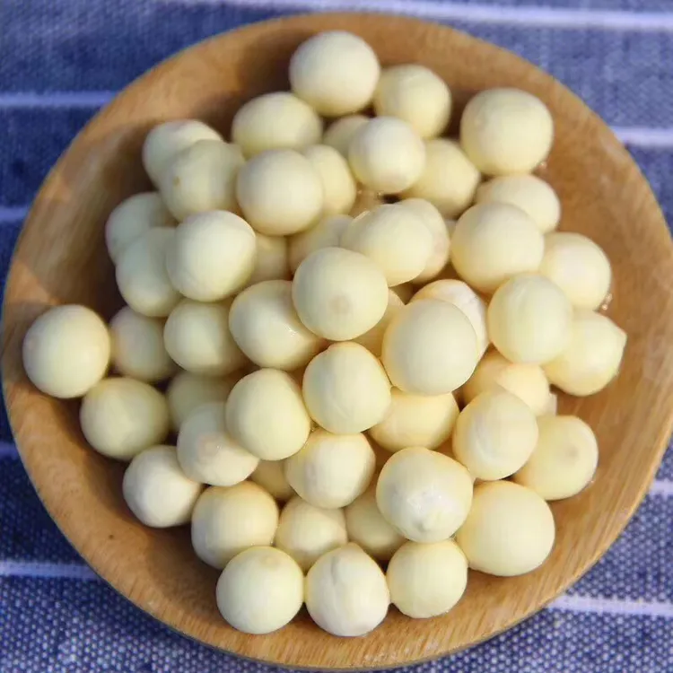 新鲜芡实苏州鸡头米潮汕特产家用甜品