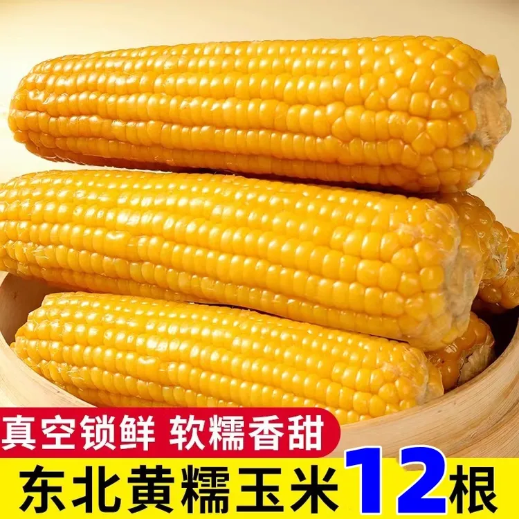 【头茬小黄糯12根】东北头茬黄糯玉米真空包装新鲜单根180g-220g/根