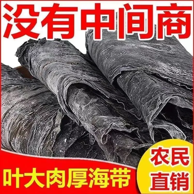 正宗超厚干海带霞浦干海带今年新货批发麻辣烫炖汤日晒500g干货