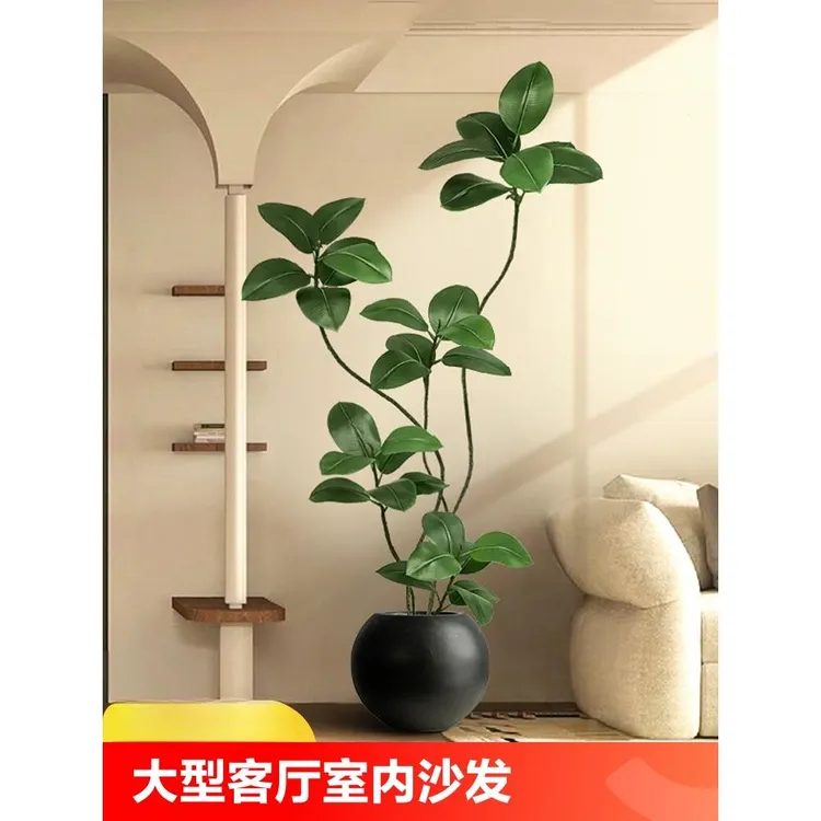 大型客厅落地摆件室内沙发电视柜旁边假植物黑金刚橡皮树仿真绿植