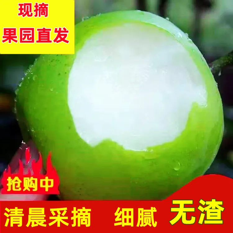 现摘正宗砀山翠冠梨翠玉苹果梨核小皮薄肉细无渣梨子新鲜果园直发