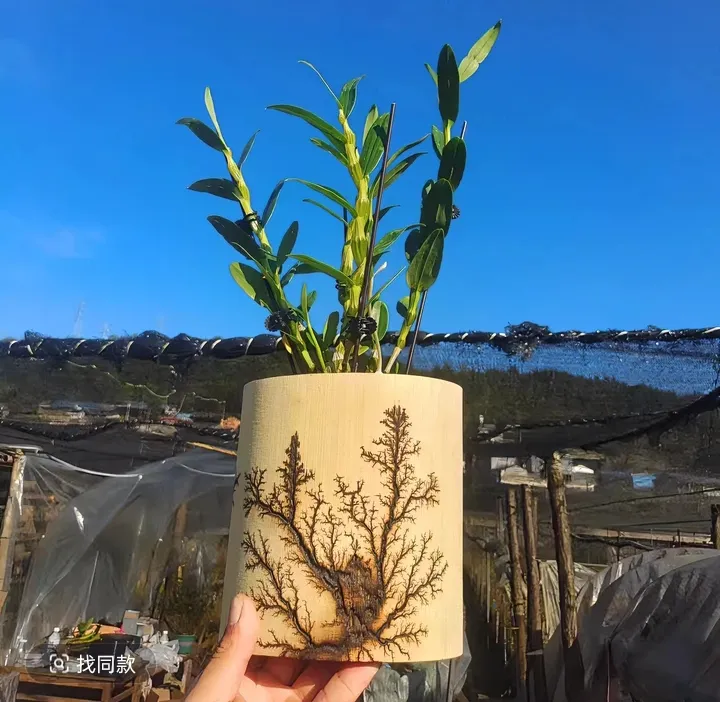 云南老竹子手工花盆