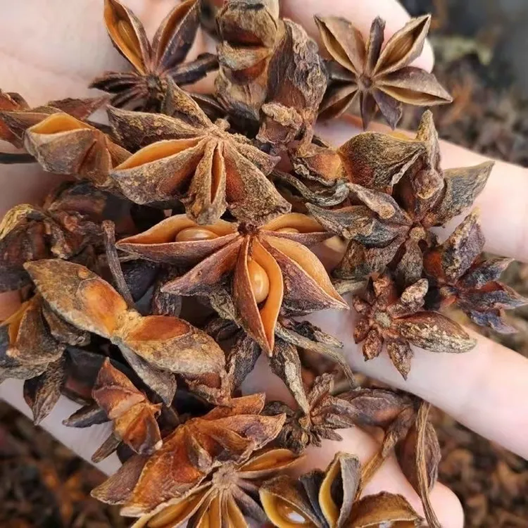 广西足干 老树大红八角 产地直发去腥增增香颗粒