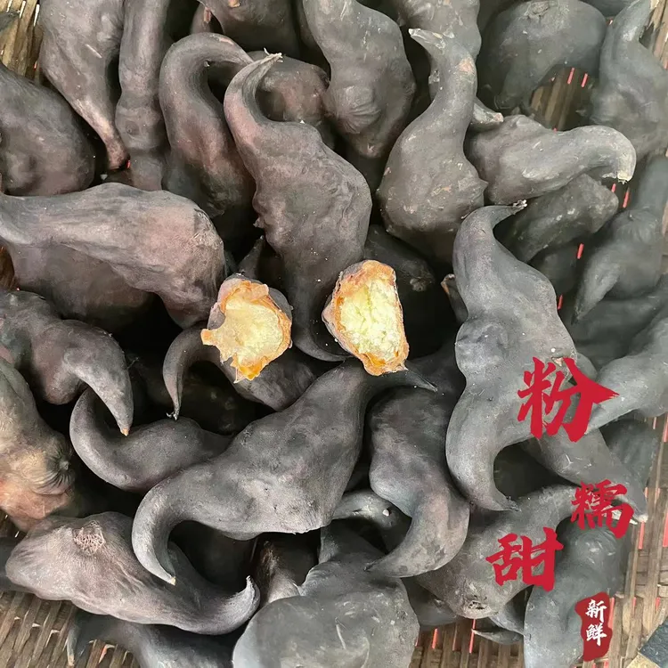 湖北特产新鲜老菱角粉糯黑棱角原产地现摘现发1斤3斤5斤