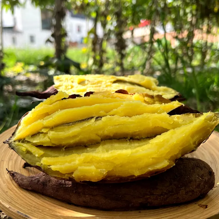 【淋大妈】云南高原榴莲蜜薯（香甜粉面）5斤装