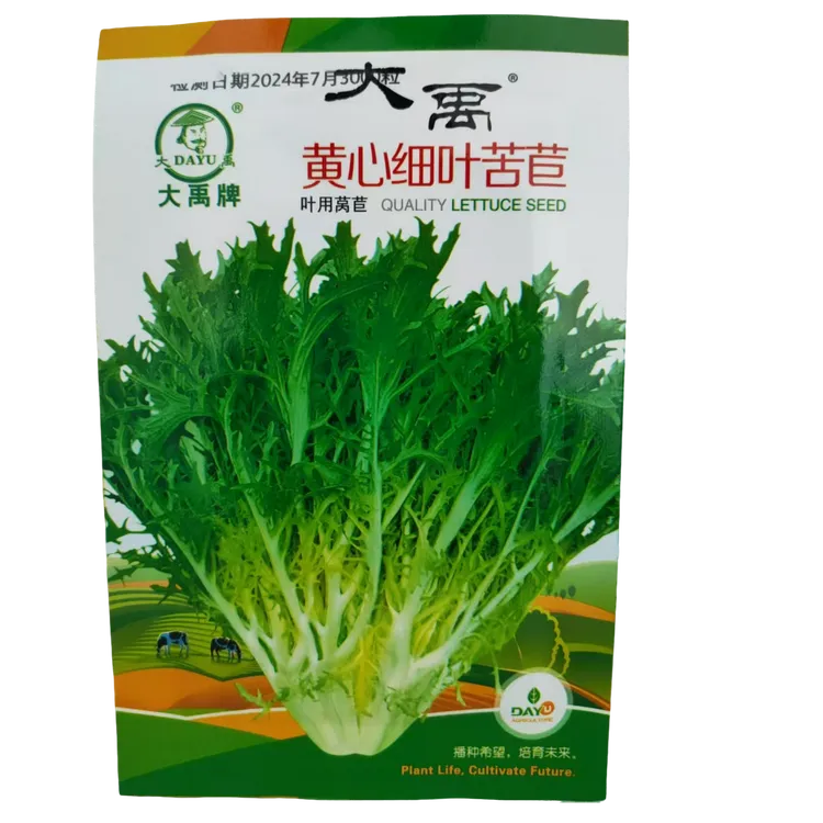 【全店买三送三送三袋半斤有机肥】黄心细叶苦苣种子青菜生菜苦菊