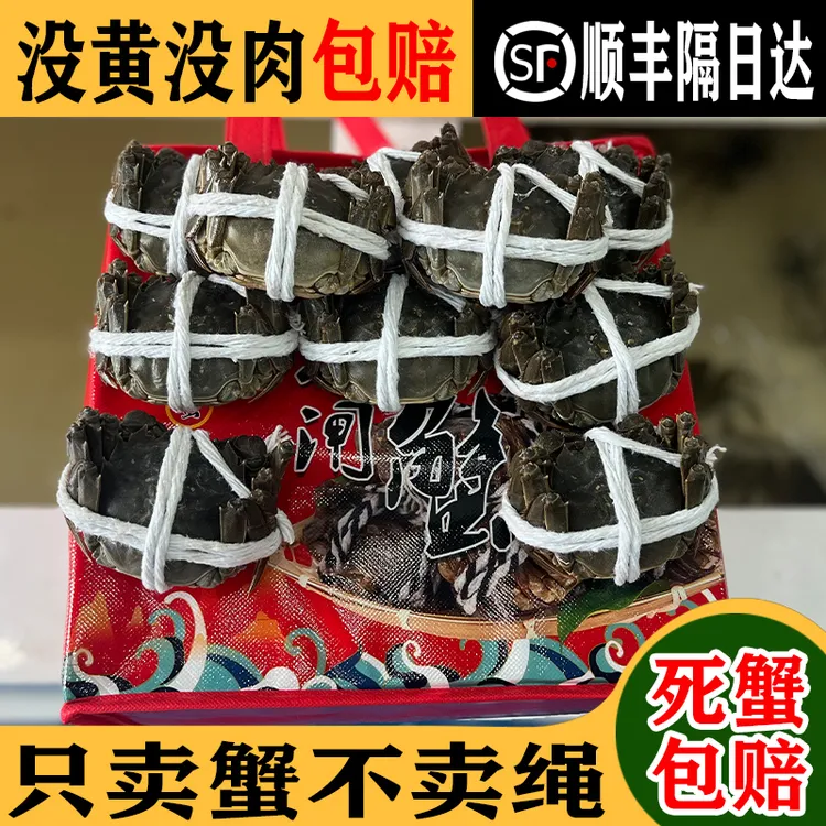 活蟹河蟹母蟹1.8-2.0两8只装