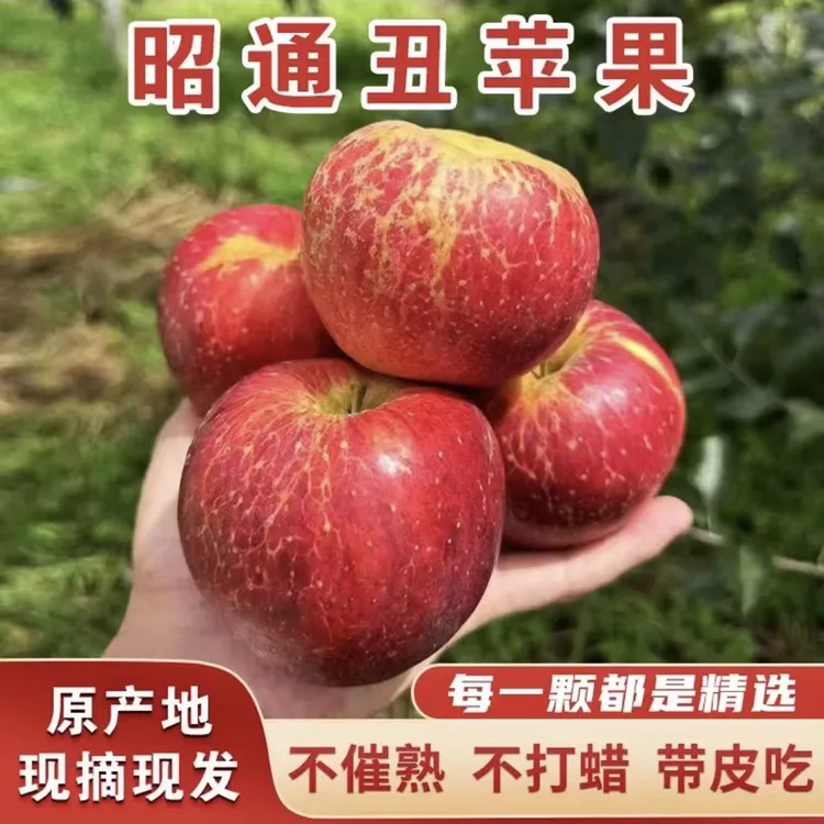云南红露糖心丑苹果脆甜多汁水分充足自家果园现摘现发高山种植