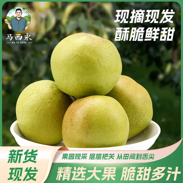 【实惠五斤中果】山西玉露香梨品质新鲜皮薄酥脆细腻甜含箱重±0.5斤