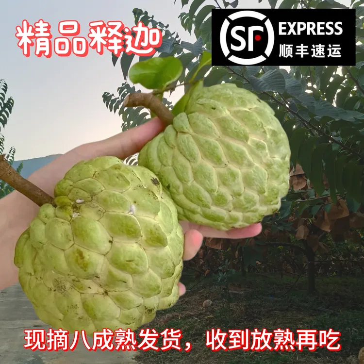 【顺丰快递】林檎释迦果,现摘八成熟发货,收到放熟再吃