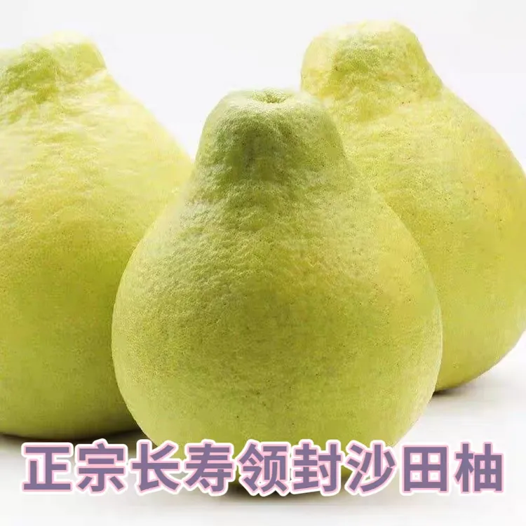 （2个尝鲜装）正宗重庆长寿湖老树沙田柚纯甜化渣水分充足