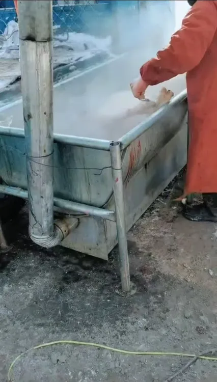 烫猪池，烧火加热水槽，烫猪烫羊必备神器，杀猪宰羊必备