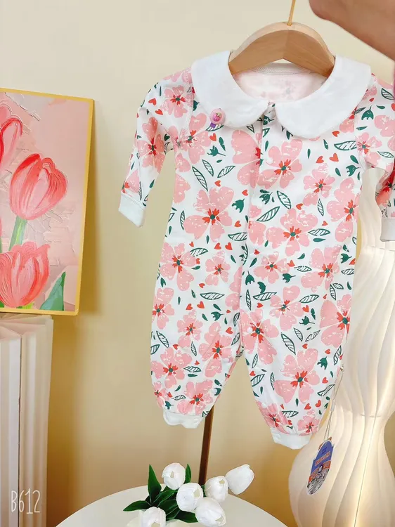 2024婴儿连体衣春秋款开春女宝宝春款婴幼儿6-12个月小女孩衣服