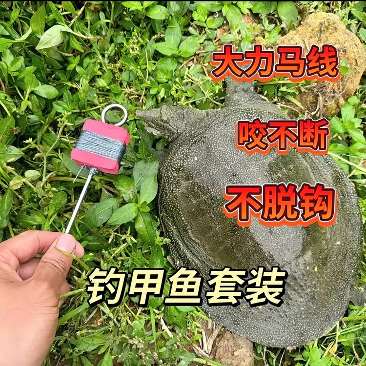 钓甲鱼专用【甲鱼钩线组套装】全套大力马耐磨耐用厂家直销