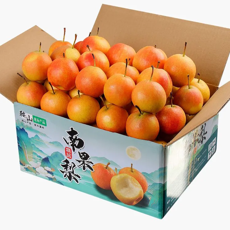 鞍山南果梨5斤老树笨南果海城南国梨新鲜酒香梨子应季水果包邮