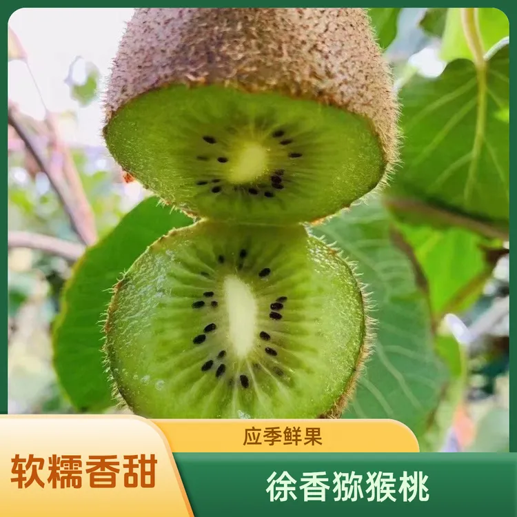 【需催熟放软食用】陕西 徐香猕猴桃 软糯香甜应季鲜果包邮产地直发
