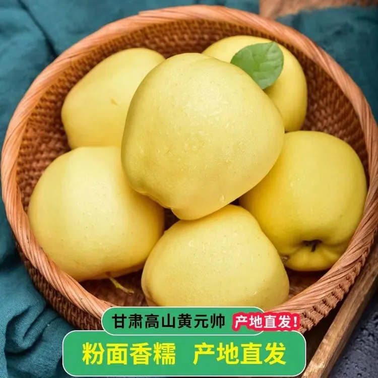 【顺丰次日达】甘肃黄元帅苹果粉糯香甜当季新鲜水果黄金帅黄香蕉