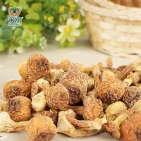 【永富】大兴安岭姬松茸100g