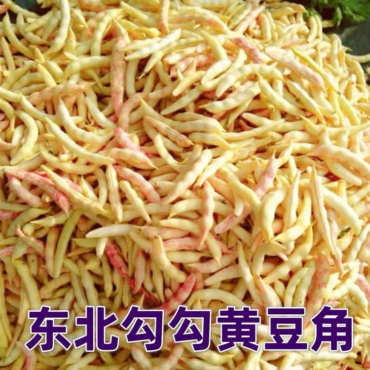 东北新鲜黄豆角红金钩豆角黄金勾豆角现摘现发5斤包邮黄金钩油