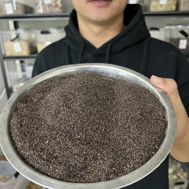 【本草李博士】无硫车前子四川车前子道地车前子搭配枸杞五子衍宗