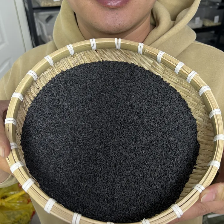 【本草李博士】无硫黑芝麻河南道地黑芝麻纯黑芝麻农家黑芝麻配枸杞