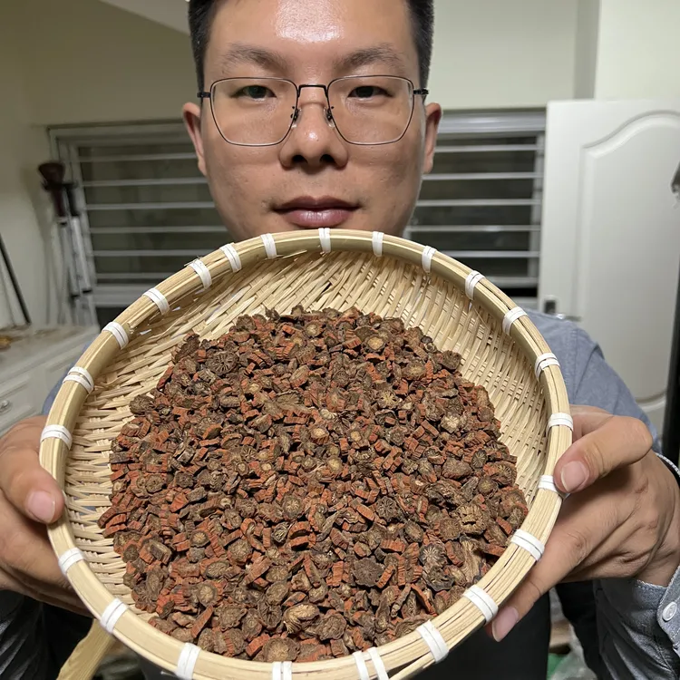 【本草李博士】正宗丹参山东紫丹参切片精选道地发汗丹参配红枣