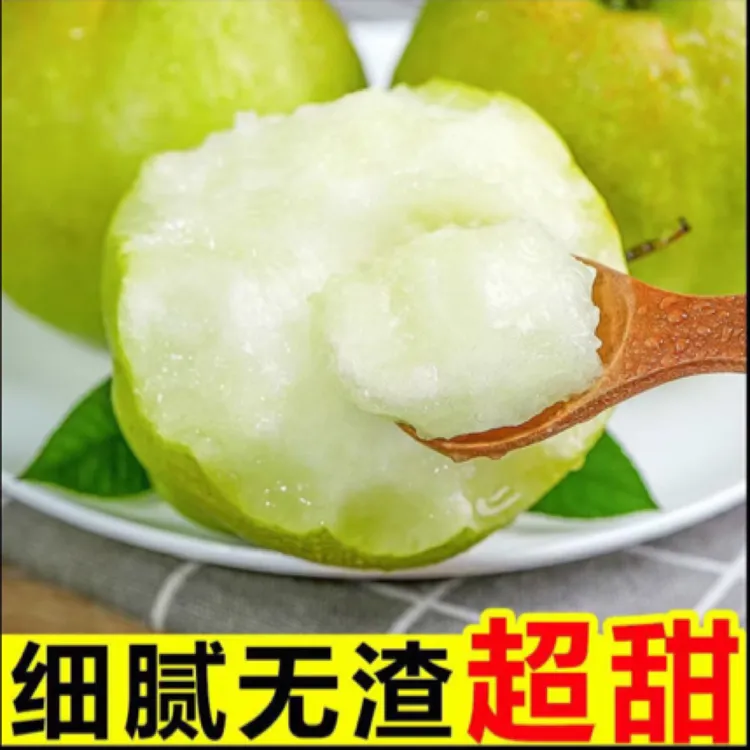 （今年新果）正宗山西隰县玉露香梨新鲜水果脆甜多汁
