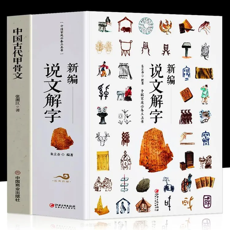正版新编说文解字中国古代甲骨文汉字真好玩国学经典汉字的演变史