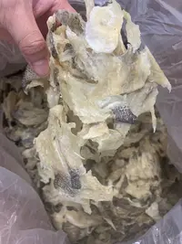 【蚝西施专线】汕尾本港鲈鱼肉片爆炒火锅（薄片）包邮