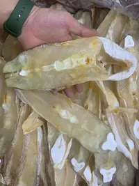 【蚝西施专线】汕尾本港大马友鱼干包邮