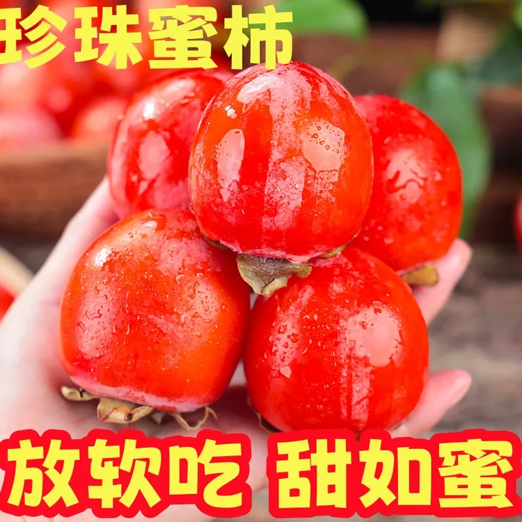 一口吸珍珠蜜柿放软吃珍珠小柿子新鲜吊红蜜柿迷你软甜的火罐柿子