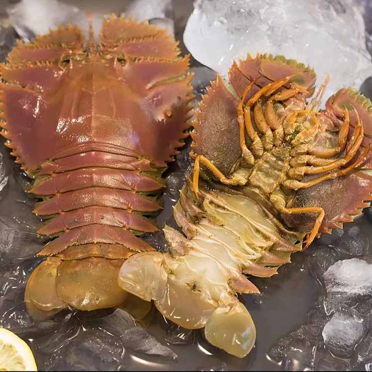 东海台州鲜香海鲜琵琶虾（充氧打包 包鲜包肥不包活）1000-1500g