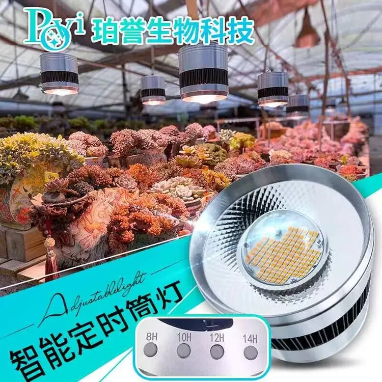 【植觉园艺 推荐】 珀誉多肉补光灯上色全光谱家用仿太阳植物生长灯