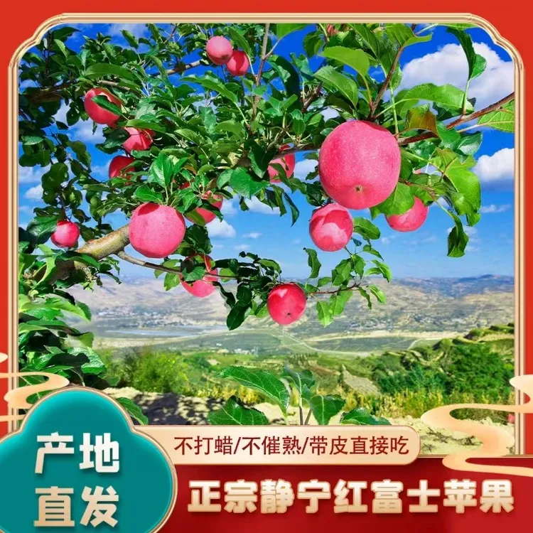 2024甘肃静宁苹果红富士礼盒新鲜水果脆冰糖心苹果整箱甜苹果孕妇