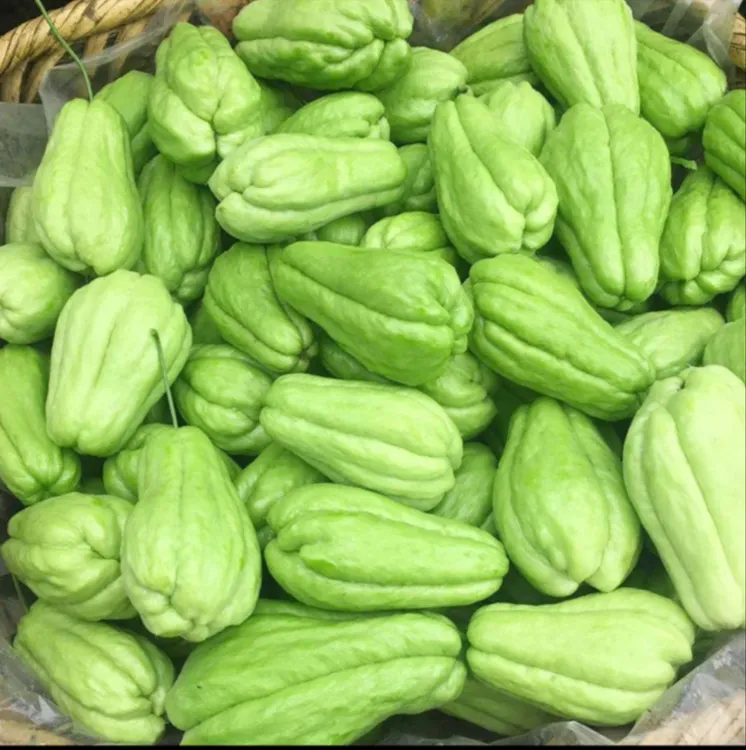 贵州高山农户自家自种佛手瓜