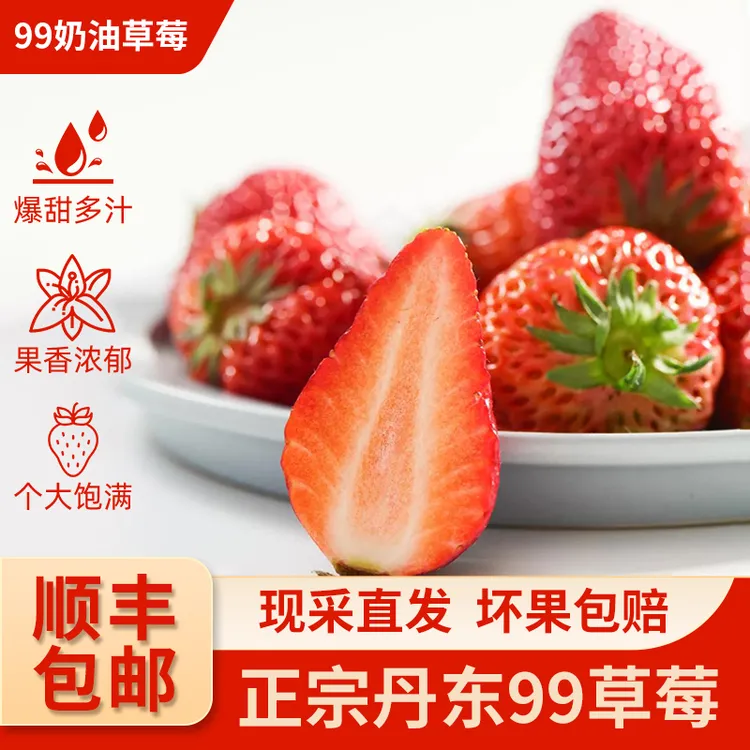 「牛奶草莓」正宗丹东九九红颜奶油大草莓核心产区顺丰空运坏果包赔