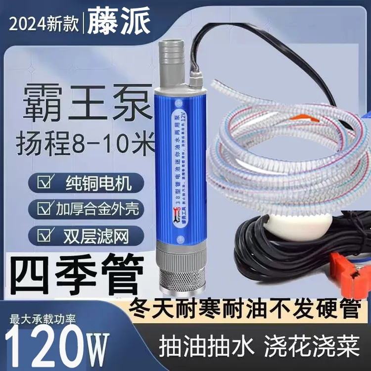 电动抽油泵12V24V加油神器柴油油抽子吸油泵油枪小型加油机抽水泵