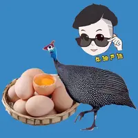 【上海地区授权主播朱迪～严选】水美中扬珍珠鸡蛋30枚