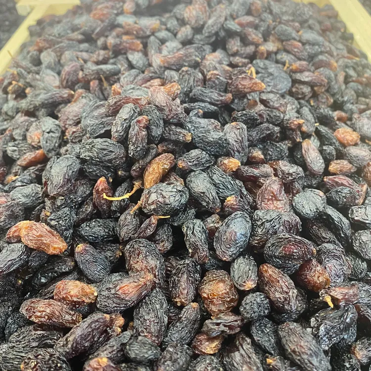 新疆吐鲁番原产地肉厚香甜美人醉葡萄干（有籽）