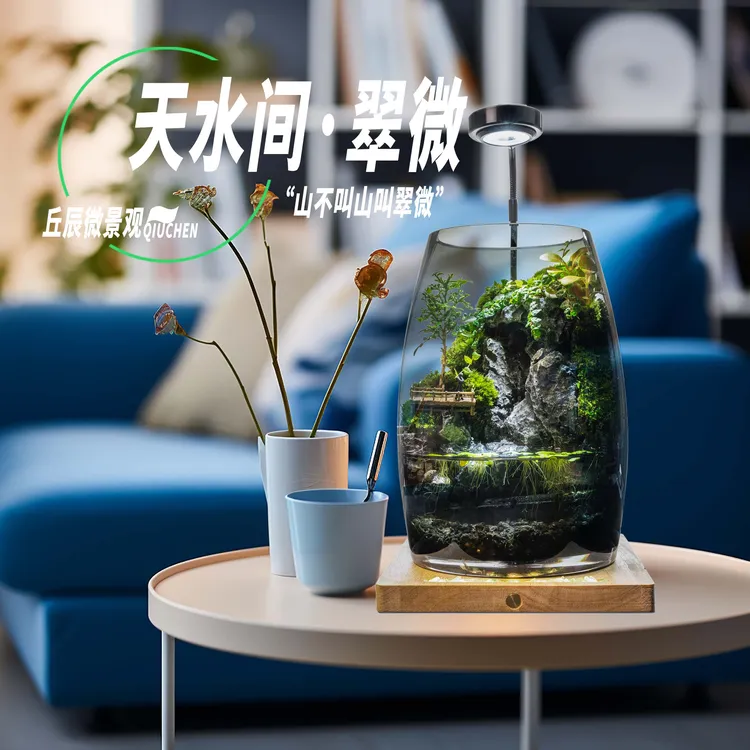 丘辰天水间-翠微 桌面苔藓微景观流水养鱼生态瓶礼物高端伴手礼