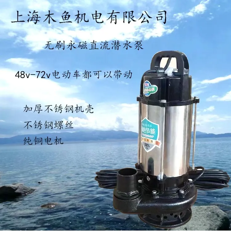 电动车水泵2.5寸口不锈钢款智能无刷直流潜水泵48v－72v通用款