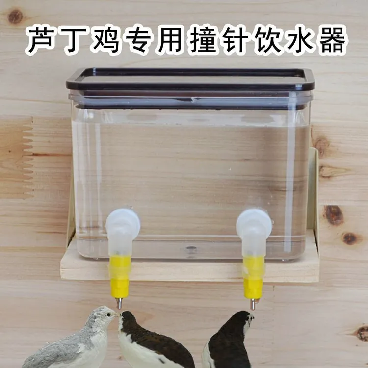 芦丁鸡撞针饮水器鲁冰全自动饮水器鹌鹑雏鸡鲁冰双封水撞针饮水头