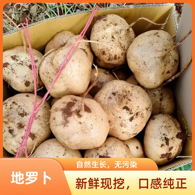 【贵州凉薯】正宗地罗卜皮薄肉厚新鲜地瓜凉薯清甜现挖水果白地瓜