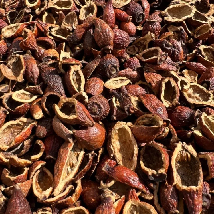 开边蒸晒金樱子，一斤装包邮