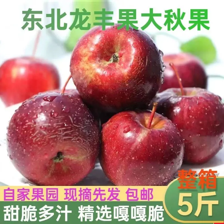 东北龙丰果大秋果当季新鲜沙果小苹果非海棠果特产晒果干包邮批发