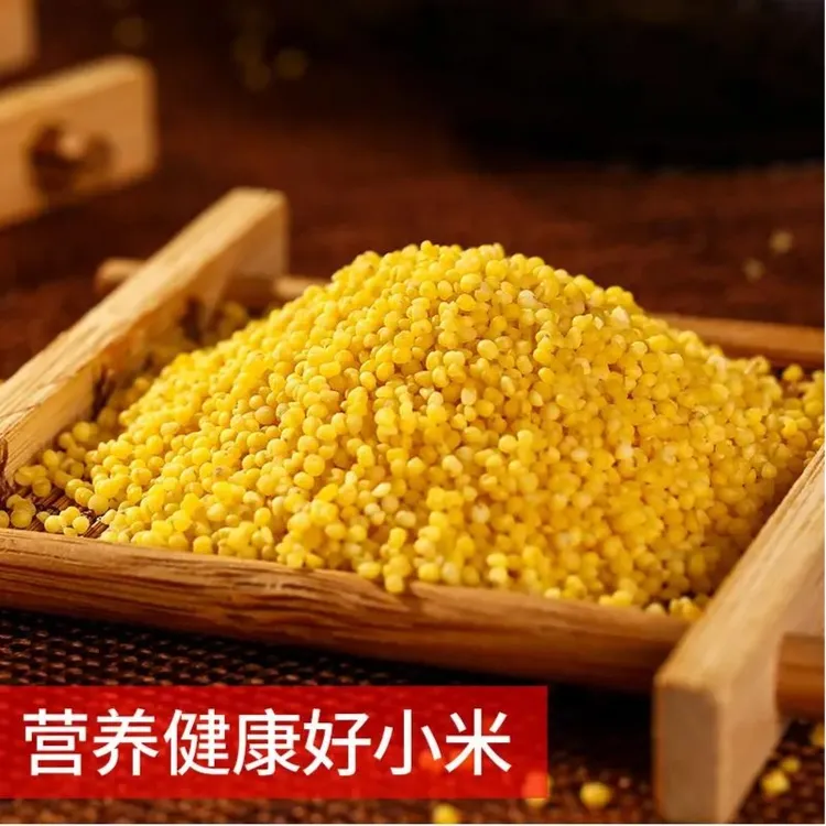 孙系农品朝阳红袋有机小米