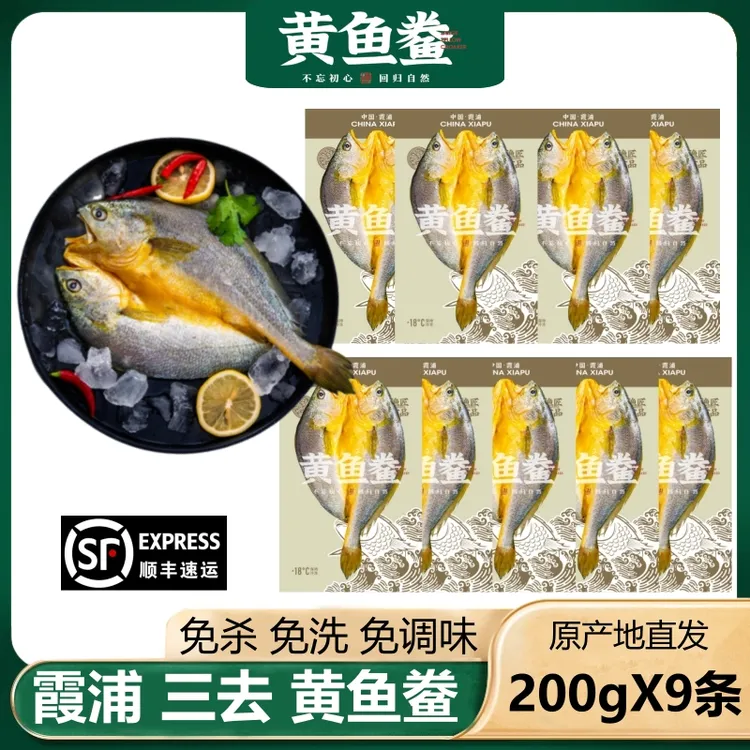 【200gX9条】福建宁德霞浦黄鱼鲞咸香大黄鱼黄花鱼新鲜冷冻免杀免洗