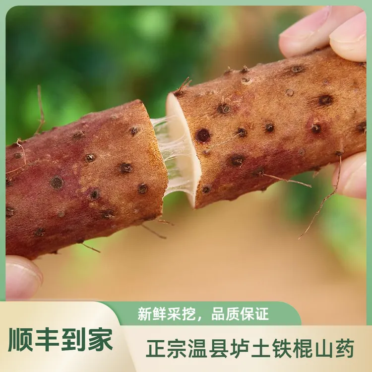 断果焦作温县垆土铁棍山药健康5斤原产农产品新鲜原产地发货