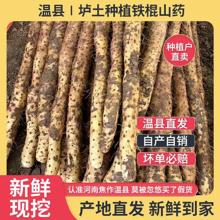 正宗河南焦作温县垆土种植特产怀山药3斤5斤装原产直发新鲜农产品